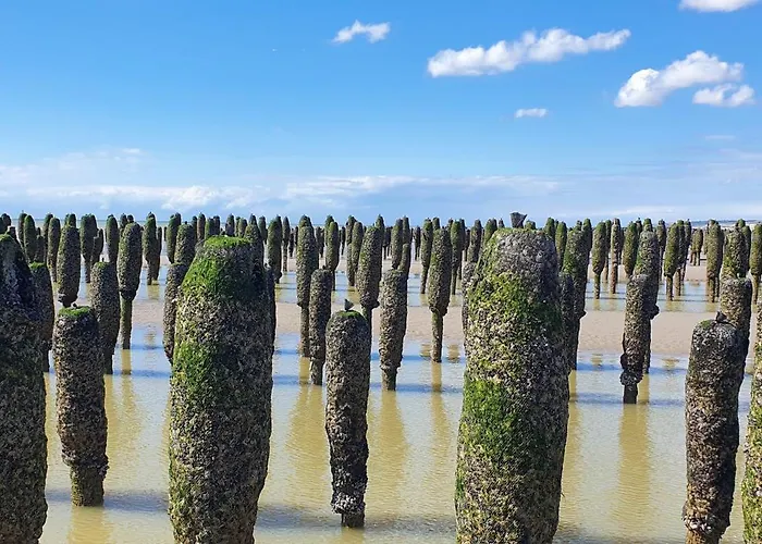 Camping Mobil Cosy 6 Personnes